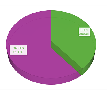 ETAM: 60,56% - Cadres: 30,44%
